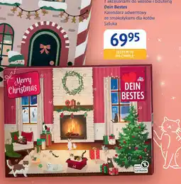 dm drogerie markt Dien Bestes Kalendarz adwentowy ze smakołykami dla kotów oferta