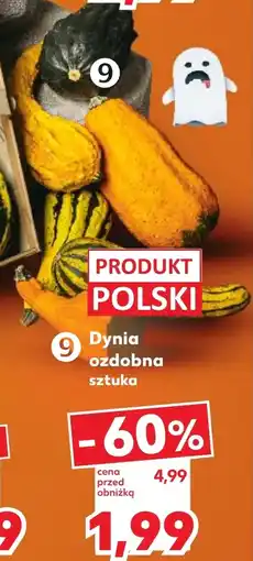 Kaufland Dynia Polski oferta