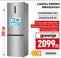 Neopunkt Lodówka Gorenje oferta