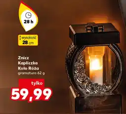 Kaufland Znicz Koło oferta