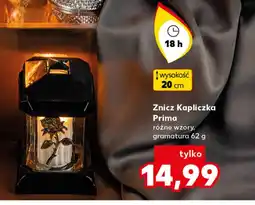 Kaufland Znicz Prima oferta