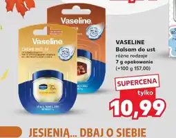 Kaufland Balsam do ust oferta
