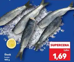 Kaufland Śledź oferta