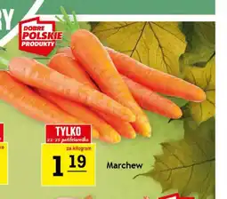 Gram Market Marchew oferta