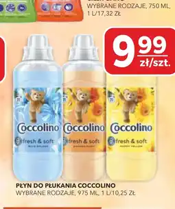 Top Market Płyn do płukania Coccolino oferta
