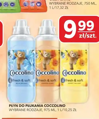 Top Market Płyn do płukania Coccolino oferta