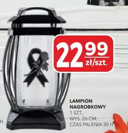Top Market Lampion oferta