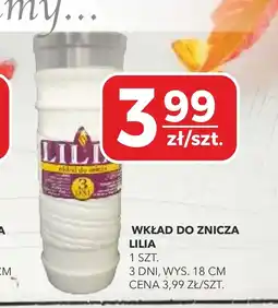 Top Market Wkład do zniczy oferta