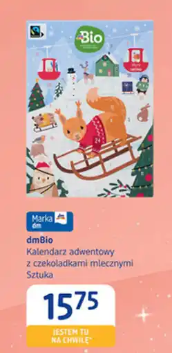 dm drogerie markt dmBio Kalendarz adwentowy z czekoladkami mlecznymi oferta