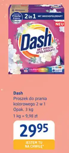 dm drogerie markt Proszek do prania kolorowego 2 w 1 oferta