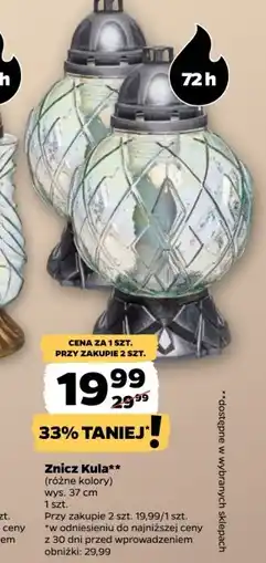 Netto Znicz oferta