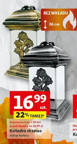 Auchan Znicz katedra drzewo oferta