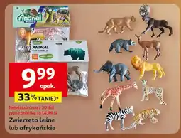 Auchan Zwierzęta afrykańskie oferta