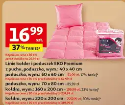 Auchan Kołdra pierze 220 x 200 cm Amw oferta