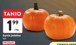 Intermarche Dynia jadalna luz Intermarche oferta