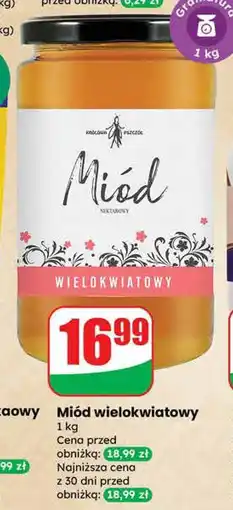 Dino Miód wielokwiatowy Dino oferta