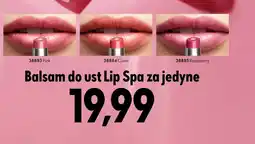 Oriflame Balsam do ust Lip spa oferta