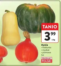 Intermarche Dynia hokkaido/muskat/pizmowa luz Intermarche oferta