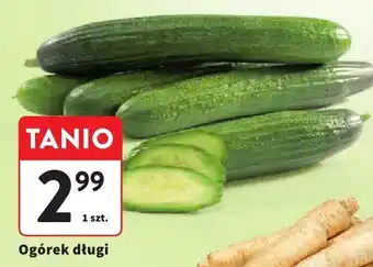 Intermarche Ogórek długi Intermarche oferta