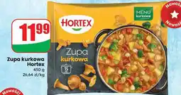 Dino Zupa kurkowa Hortex oferta