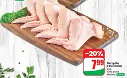 Dino Skrzydło z kurczaka Dino oferta