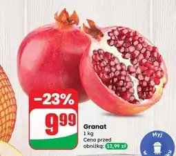 Dino Granat Dino oferta