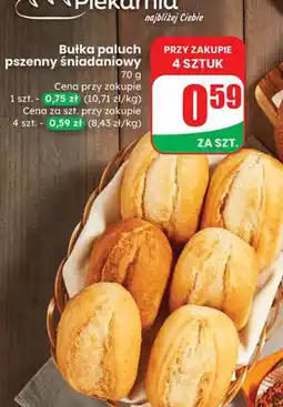 Dino Bułka pałuch pszenny śniadaniowy Piekarnia oferta