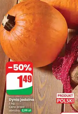 Dino Dynia jadalna Dino oferta