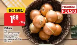 Polomarket Cebula POLOmarket oferta