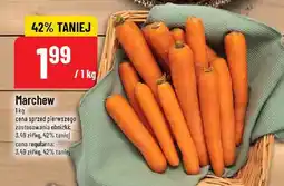 Polomarket Marchew POLOmarket oferta