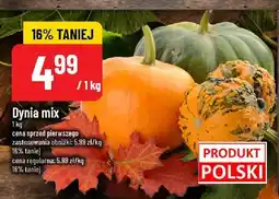 Polomarket Dynia mix POLOmarket oferta