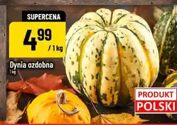 Polomarket Dynia ozdobna POLOmarket oferta