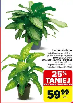 Carrefour Roślina zielona oferta