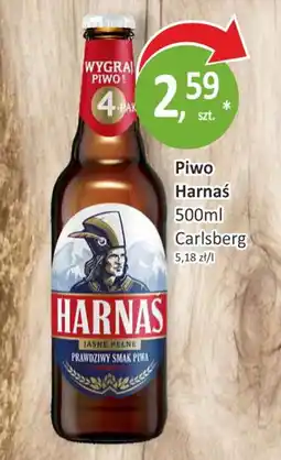 Passa Piwo Harnaś oferta