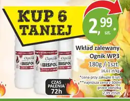 Passa Wkład zalewany Ognik WP3 oferta