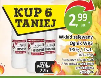 Passa Wkład zalewany Ognik WP3 oferta
