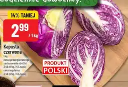 Polomarket Kapusta czerwona oferta