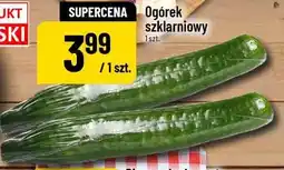 Polomarket Ogórek szklarniowy oferta