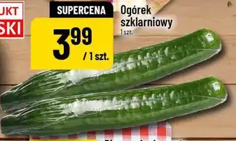 Polomarket Ogórek szklarniowy oferta