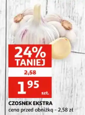 Auchan Czosnek ekstra oferta