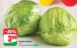 Dino Sałata lodowa oferta