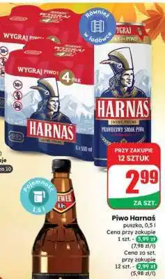 Dino Piwo HARNAŚ oferta