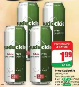 Dino Piwo Sudeckie oferta