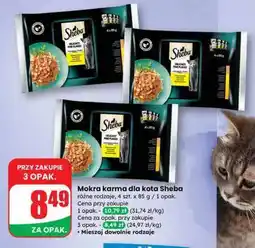Dino Mokra karma dla kota Sheba oferta