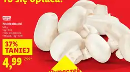 Lidl Pieczarki polskie Lidl oferta