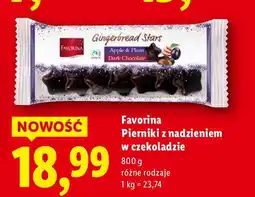 Lidl Pierniki z nadzieniem w czekoladzie Favorina różne rodzaje oferta