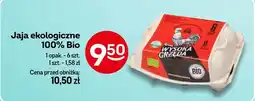 Żabka Jaja ekologiczne 100% Bio Żabka oferta