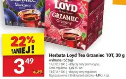 Twój Market Herbata Loyd Tea Grzaniec 10T, 30 g oferta