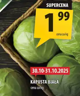 Arhelan Kapusta biała Arhelan oferta