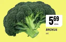 Chorten Brokuł Chorten oferta